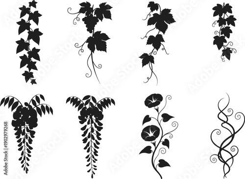 Decorative vine and leaf silhouette vector set with ivy, wisteria, and morning glory plants, elegant floral botanical design elements collection