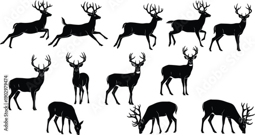 Deer silhouette collection, wild stag and buck animals in running standing grazing poses, black forest wildlife vector illustration isolated