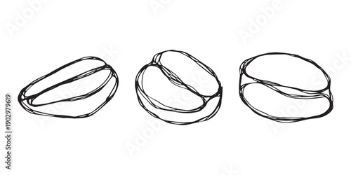 Set of hand drawn fresh roasted coffee bean Arabica robusta seed doodle Single element for design print packaging label decor
