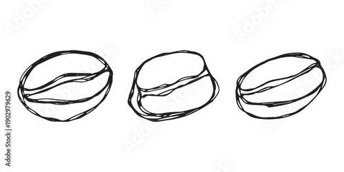 Set of hand drawn fresh roasted coffee bean Arabica robusta seed doodle Single element for design print packaging label decor