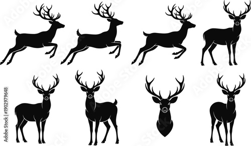 Deer silhouettes collection, running and standing stag poses with antlers, black and white flat vector illustration for wildlife nature designs