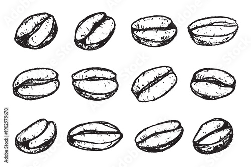 Set of hand drawn fresh roasted coffee bean Arabica robusta seed doodle Single element for design print packaging label decor