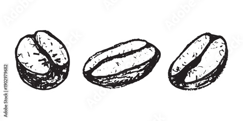 Set of hand drawn fresh roasted coffee bean Arabica robusta seed doodle Single element for design print packaging label decor