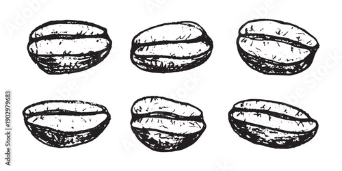 Set of hand drawn fresh roasted coffee bean Arabica robusta seed doodle Single element for design print packaging label decor