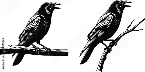 Black Raven and Crow Silhouette Illustration Set of Birds Perched on Tree Branches Isolated on White Background for Gothic Design