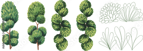 Collection of top view vector trees and bushes for architectural landscaping garden design and urban planning nature elements for maps