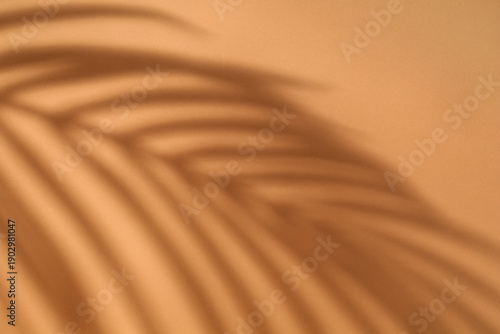 Shadow of palm leaf on brow...