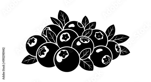 A bunch of fresh blackberries with leaves on a white background