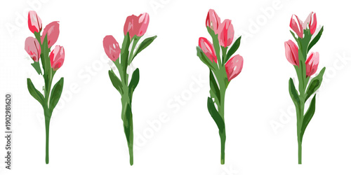 Four arrangements of pink tulips with green stems against a black background