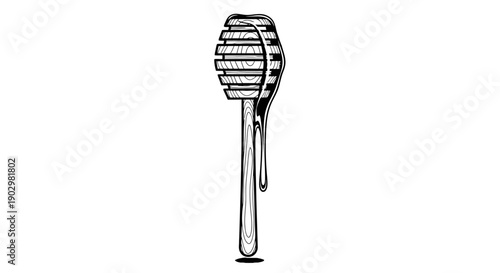 A detailed illustration of a hairbrush with bristles and a long handle on a plain background from a front viewpoint