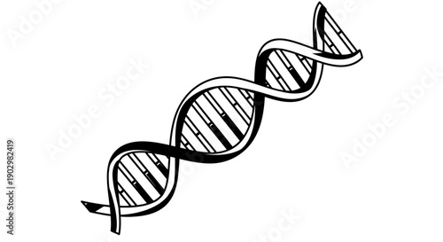 A detailed illustration of a DNA double helix structure from a diagonal viewpoint showcasing genetic material
