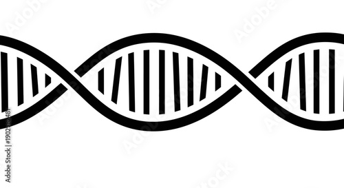 Double helix DNA structure illustration on a clean white background from a straightforward viewpoint