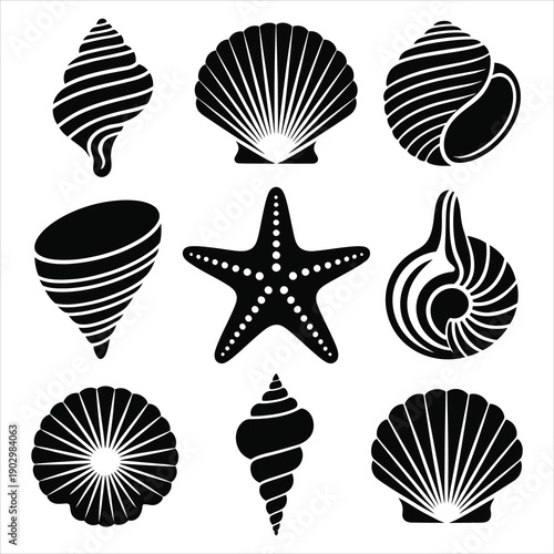 A fascinating compilation of black silhouette seashells and a distinctive starfish displayed on a pure white field