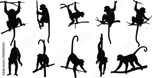 Black Monkey Silhouette Collection Featuring Macaque and Primate Species Climbing on Tree Branches for Tropical Wildlife Nature Animal Zoo Vector Illustration Isolated on White
