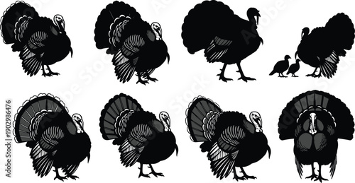 Black Turkey Silhouette Collection Featuring Various Tom Turkeys and Chicks for Thanksgiving Holiday Farm Animal Poultry Wildlife Hunting Vector Illustration Isolated on White Background