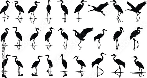 Large Black Heron Silhouette Collection Featuring Various Poses and Reflections for Wetland Nature Wildlife Bird Watching Coastal Landscape Vector Illustration Isolated on White Background Graphic