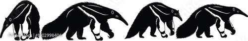 Giant anteater silhouettes vector set, wild mammal walking poses illustration, black and white exotic animal design collection isolated elements