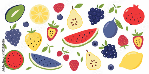 Colorful assortment of illustrated fruits including berries citrus and melons