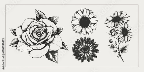 Detailed botanical illustration of roses sunflowers and other flowers