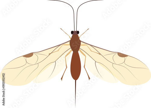Vector illustration of parasitic wasps used in biological control for sustainable agriculture and eco-friendly pest management.