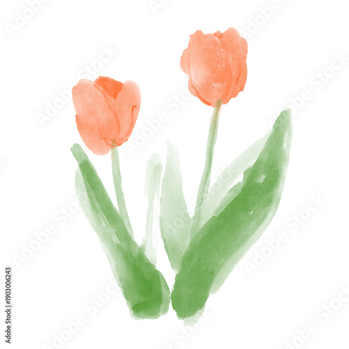 水彩タッチでやさしく描いたオレンジ色のチューリップ