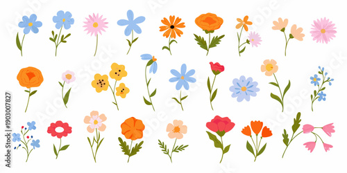 A colorful collection of hand drawn wildflower illustrations on a white background