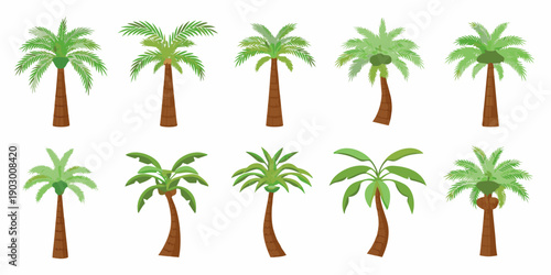 Collection of cartoon palm trees in various shapes and sizes