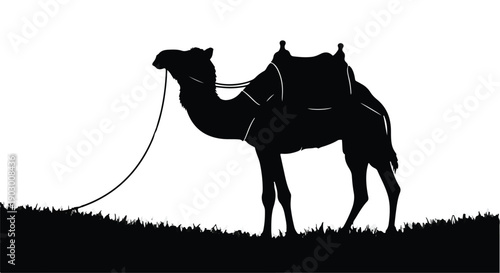 Silhouette of a saddled camel standing in a grassy landscape