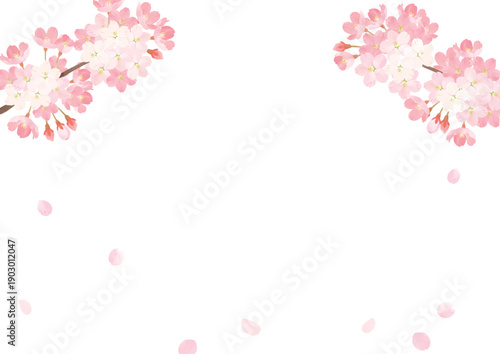 水彩桜　ベクターイラスト