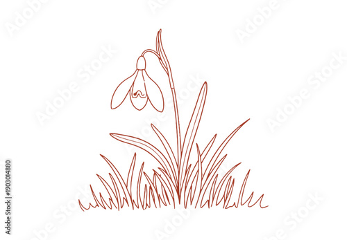 A clean background showcasing one snowdrop flower among simple grass lines. Sketch of the grass and flower. 