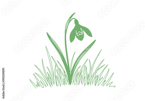 A straightforward background featuring a single snowdrop flower with basic grass lines. Sketch of the grass and flower.