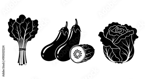 Fresh vegetables and fruits illustration set