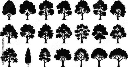 Collection of detailed tree silhouettes featuring diverse forest and garden species in black, isolated vector set perfect for landscape design, nature themes, and environmental graphics.