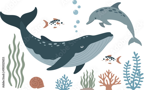 Shark and Fish Vector Illustration Set in Ocean