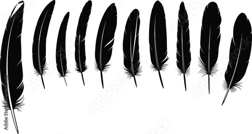 Feather silhouettes set in flat vector style, bird plumage collection with elegant quill shapes for boho, tribal, and decorative design