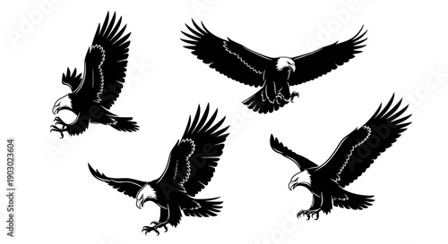 Four detailed black and white illustrations of bald eagles in flight, showcasing their powerful wingspans and sharp talons.