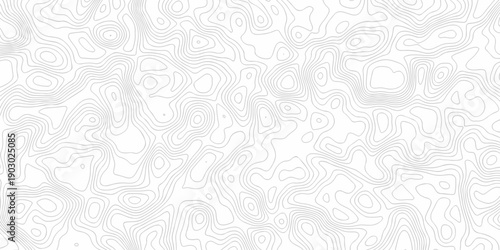 Minimal white line geometric grid outline curve counter map and wavy topography relief discovery area white, black line texture background.