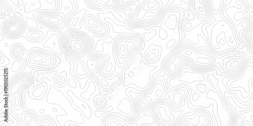 Minimal white line geometric grid outline curve counter map and wavy topography relief discovery area white, black line texture background.