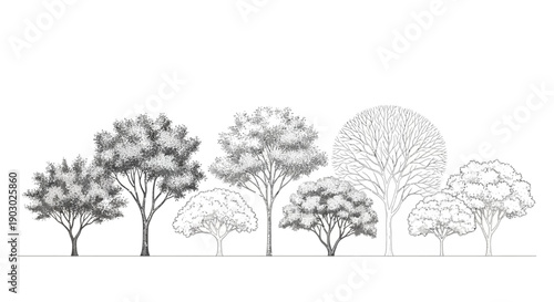 A collection of diverse trees rendered in a detailed, illustrative style, showcasing various forms and textures.