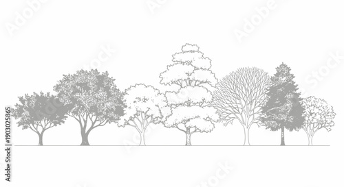 A detailed illustration showcasing a diverse collection of deciduous and coniferous trees arranged in a horizontal line, rendered in grayscale.