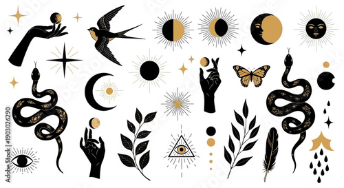 A collection of mystical and celestial graphic elements including hands, snakes, moons, suns, butterflies, and eyes.