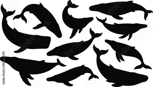 Collection of whale silhouettes isolated on white background, marine animal shapes set, ocean wildlife elements for nautical design vector illustration pack