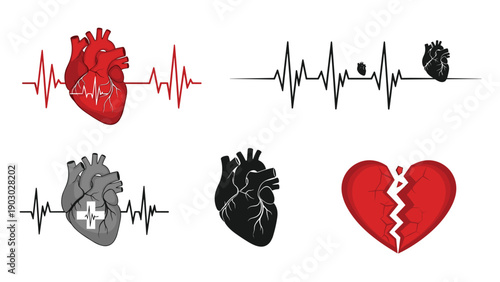 Collection of heart icons shows anatomical hearts with pulse lines and a broken heart representing health and emotions.