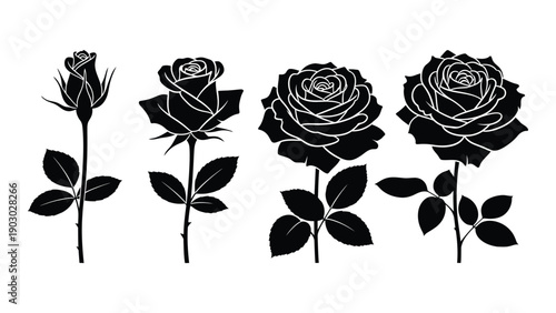A collection of elegant black roses with stems and leaves in a row Vector