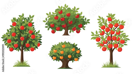 Four different fruit trees including apple and orange varieties grow in a row for a healthy orchard or garden scene.