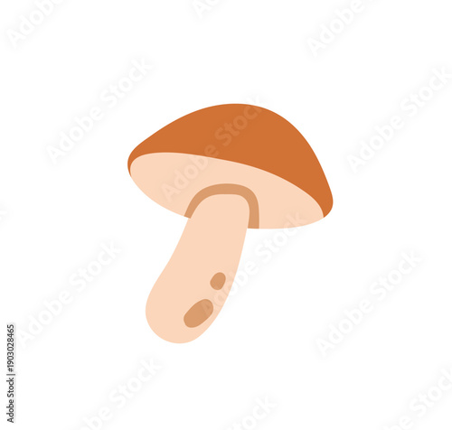 Boletus, forest mushroom icon. Edible fungus with stalk and cap. Autumn harvest, fall seasonal food. Porcini fungi. Flat vector illustration isolated on white background