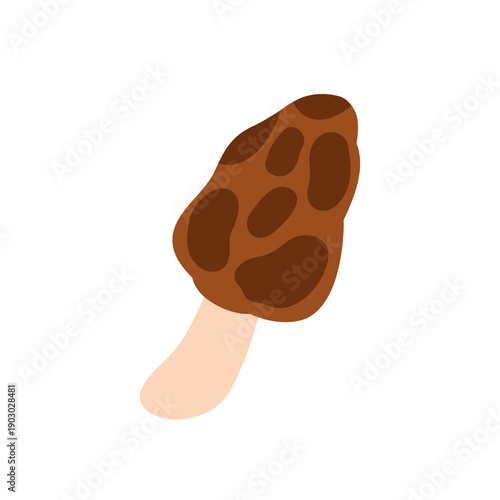 Morel mushroom. Edible forest fungus, honeycomb cap with holes, pits. Morchella fungi, organic natural food. Autumn seasonal ingredient. Flat vector illustration isolated on white background