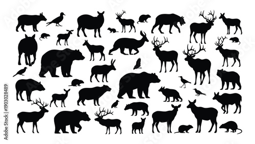 A diverse collection of various animal silhouettes in black and white Vector