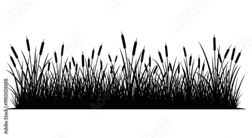 A silhouette of cattails and tall grass against a white background, representing a natural border.