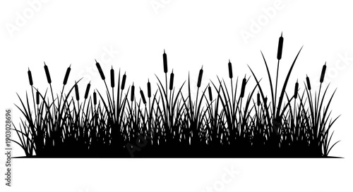 A silhouette of cattails and tall grass against a white background, creating a natural border effect.